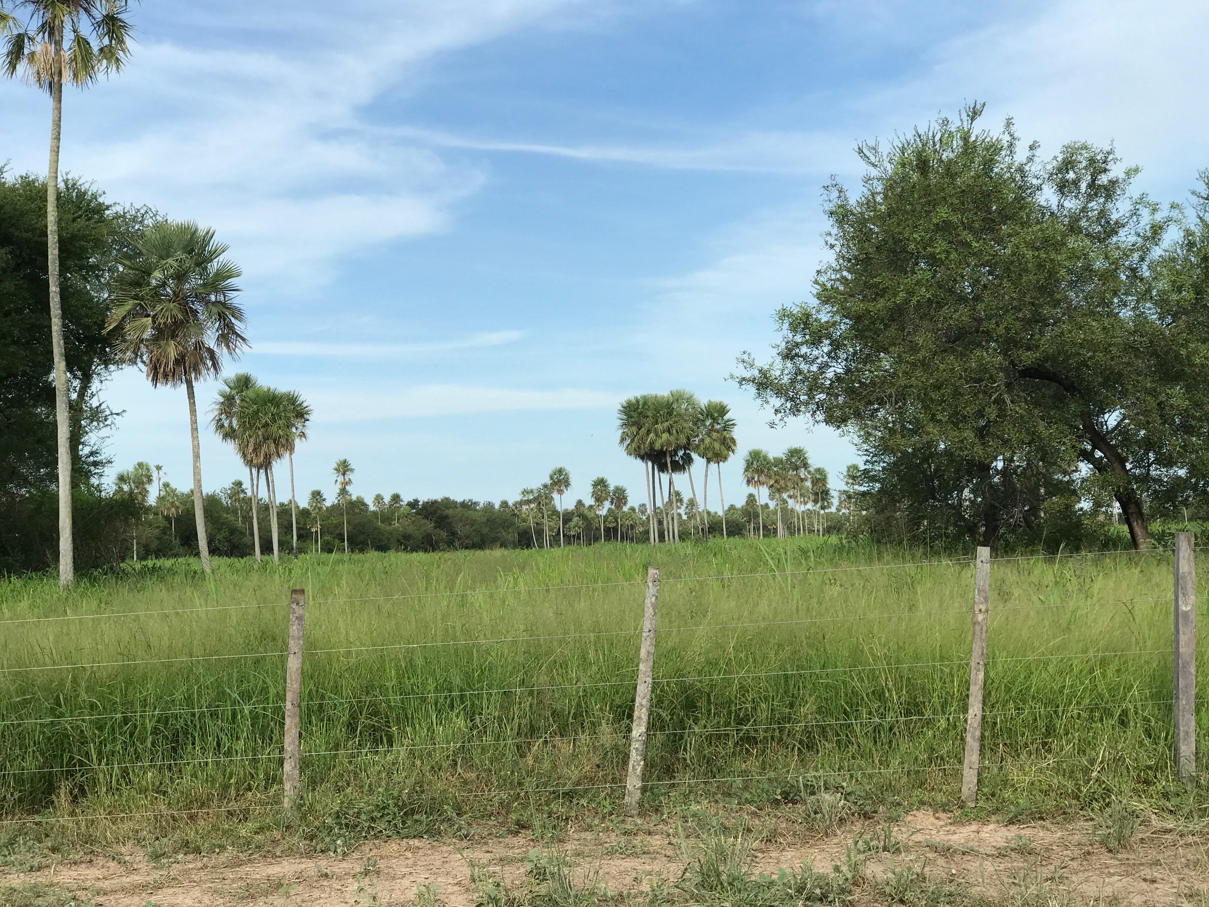 Fortín Yunká - Imagen